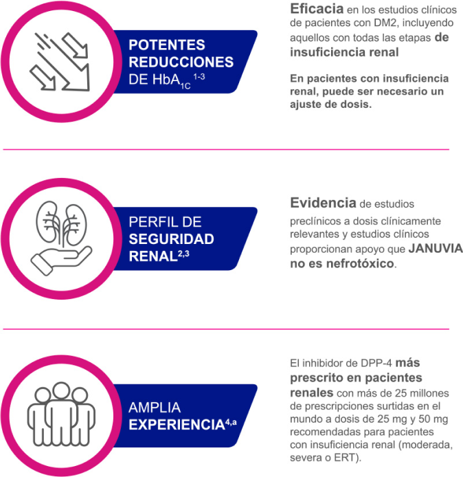 evidencia details