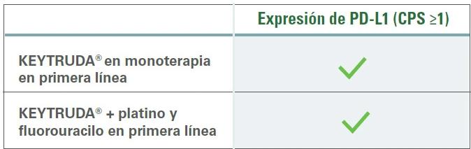Las pruebas de PD-L1 pueden ayudar a guiar el tratamiento personalizado para pacientes con HNSCC metastásico o recurrente no resecable