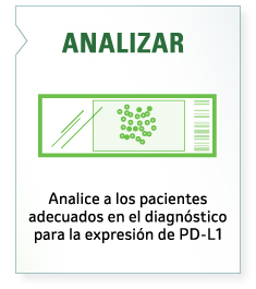 ANALIZAR